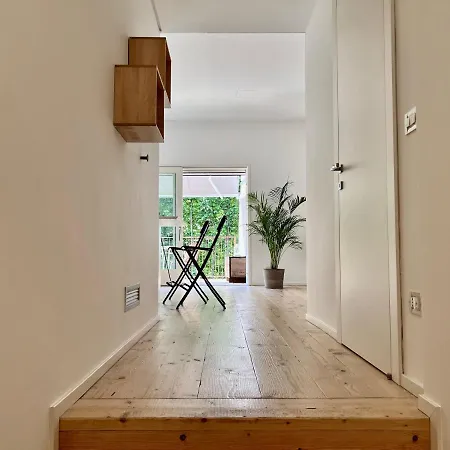 14 - Due Biciclette Incluse *